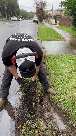 Lawn Care Australia: How I Nearly Had It All