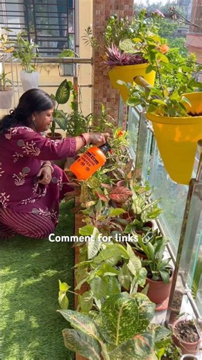 Best indoor plants care in Balcony garden 🪴 #trendingshorts