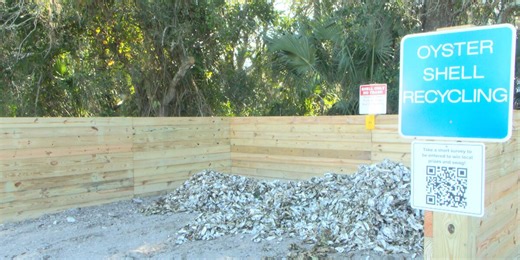 Recycle oyster shells to keep the seafood on your plate and shorelines protected
