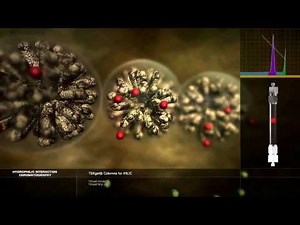 Hydrophilic Interaction Chromatography