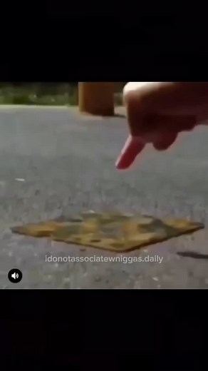 i do not associate with niggas | day 9: i do not associate . . . . . How to Beat Your Meat What You’ll Need: • Meat (like chicken breast, steak, or pork chops) • Cling... | Instagram