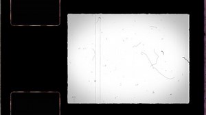 8mm Film Frame 4k Sprocket Hole Stock Footage Video (100% Royalty-free) 1083812983 | Shutterstock