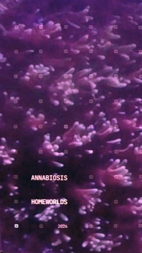 04. Annabiosis — Exo Dub (19 апреля)