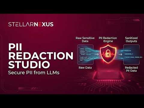 StellarNexus PII Redaction Service-Demo