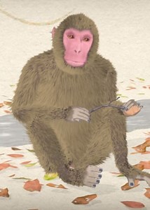 Saru Kani Gassen (Yokoku)