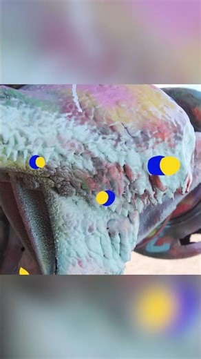 Spray Painted Cars! 🚗 | Wackiest Places Around the World