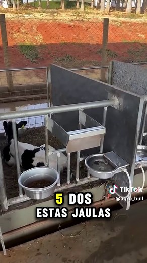 Alimentación Automatizada de Terneros con Tecnología Robótica