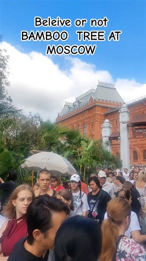 Believe it or not, bamboo trees at the heart of Moscow #travelvlog #russiavlog #moscow