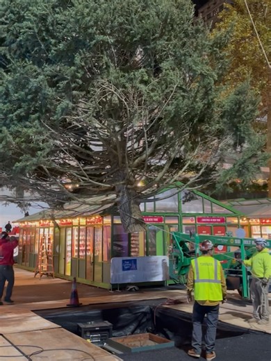 Bryant Park on Reels