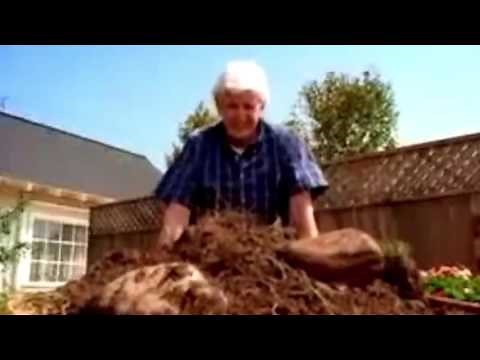 Women Breastfeeding Pets is So Nasty