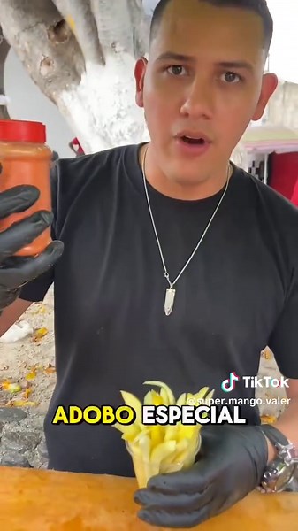 Recetas de postres con mango | ¿Cómo te gustaría que te lo prepare?