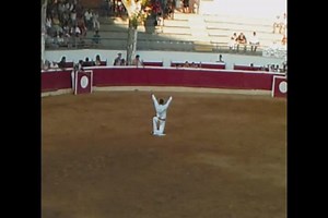 File:Course landaise Nogaro.ogv - Wikimedia Commons