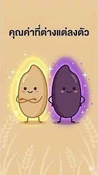 Brown rice vs. riceberry rice: Brown rice is nutritious, riceberry rice is also nutritious. Which...