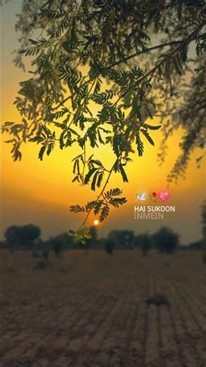 #nature #trending#viral #trending ##