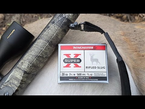 20ga Slug Deer Hunting! Big Doe Down With The Stevens 301!