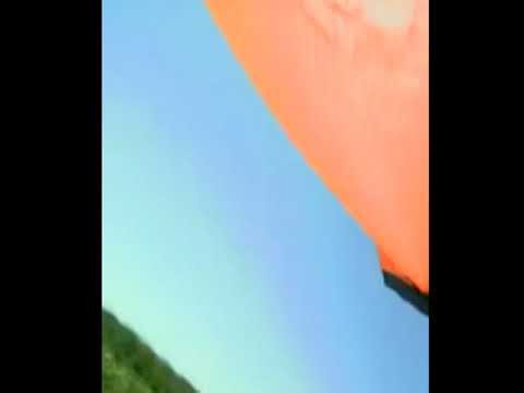 World's First Video Recorded from an Ornithopter in Flight