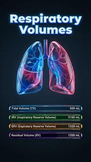 Respiratory Volumes Explained | Tidal, IRV, ERV, RV