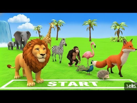 🦁 Lion Race with Animals 🐆🐘| Fun Animal Racing Game for Kids