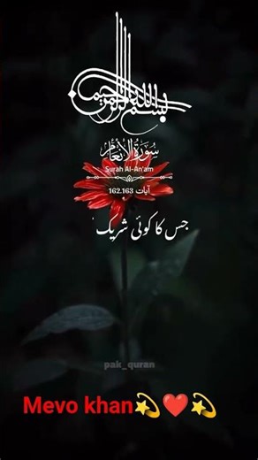 mevo khan💫❤️💫