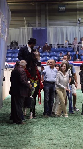 What a special girl we have here… 🌹IN QADENCE🌹 U.S. National Champion Arabian Country Pleasure Futurity with Nestor Gonzalez 𝐼𝑛𝑐𝑒𝑝𝑡𝑖𝑜𝑛 𝑥 𝑄𝑢𝑖𝑛𝑡𝑒𝑡 𝐷𝐺𝐿 Bred by Maroon Fire Arabians Proudly owned by Hagale Family Arabians #hagalefamilyarabians #usnationals #champions #tulsa | Hagale Family Arabians