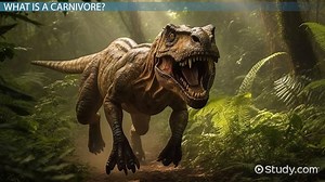 Carnivorous Dinosaurs | List, Species Names & Types - Video | Study.com