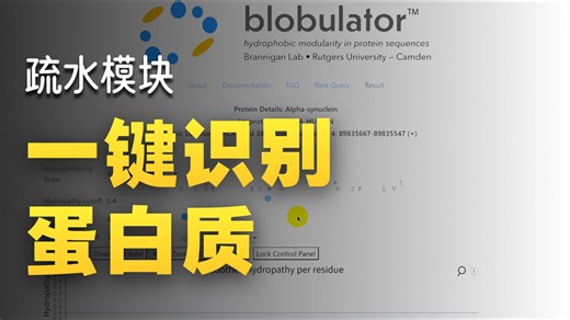 蛋白模块化分析新工具：Blobulator让序列特征可视化更直观