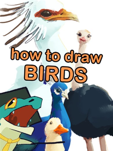 Bird Drawing Tips: Simple Shapes for Feathery Friends