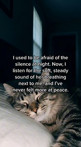#furbaby #cutecat | My Cat Is My Therapy