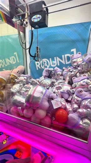 The Weirest Claw Machine Prizes Ever! #clawmachine #cranegame #clawmachinearcade #arcade #arcadegames | Rowland Arcade Couple