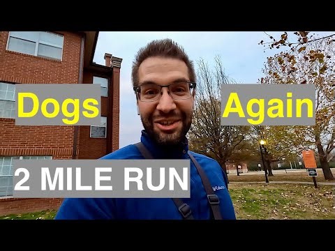 Anyone else have problems with Dogs while running?
