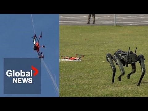 Germany grants police power to shoot down rogue drones