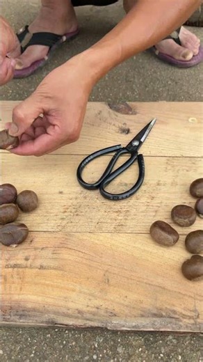 Using scissors to peel chestnuts? This method is too simple!