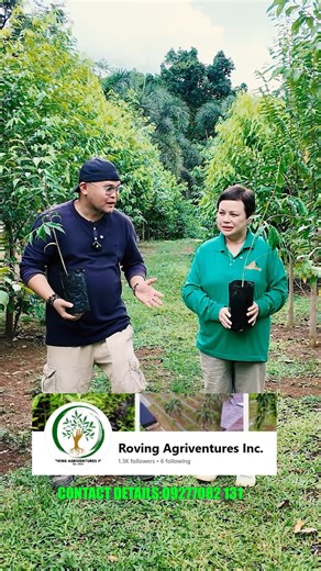 Welcome to Roving Agriventures, Inc., Transforming Lives, One Tree at a Time. Credible Plant Nursery Part XIII sa Agree sa Agri For more information, Contact us NOW! 𝗠𝗼𝗯𝗶𝗹𝗲: 09277082131 𝗘𝗺𝗮𝗶𝗹: rovingagriventures.2024@gmail.com Tara! Tanom na Ta! 🌱🌱🌱🌱🌱 A Proud member of Philippine Agarwood Solutions, Inc. and Philippine Agarwood Community #agarwood #Agar #oud #SustainableFarming #GrowWithUs #AgarwoodJourney @followers @topfans | Roving Agriventures Inc.