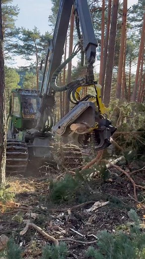 How does the harvester 1270g process trees #harvester #johndeere #viral #tree #love #wood #farming-001 | Barbara Lopez