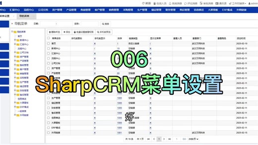 006、SharpCRM低代码平台：菜单设置