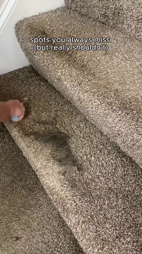 Uproot Pro: The Ultimate Pet Hair Removal Trick