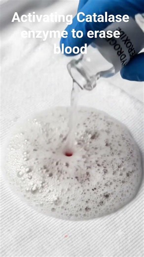 Activating Catalase enzyme to erase blood🩸 ScienceCommunication #H2O2 #Satisfying #ChemicalReaction