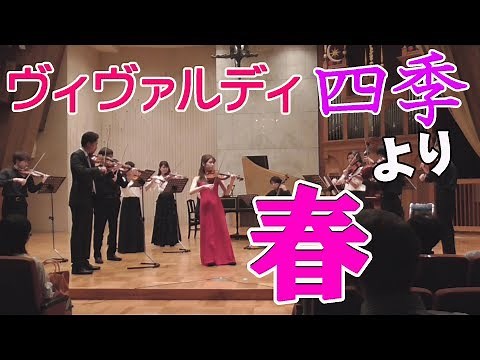 ヴィヴァルディ「四季」より春 RV269 Vivaldi:The Four Seasons [Spring]