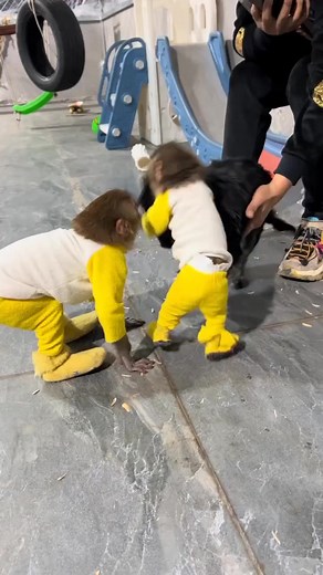 Mis hermanos jugando siempre 🤣 #funnyreels #funnyvideos #virals #viralvideo | Funny Reels