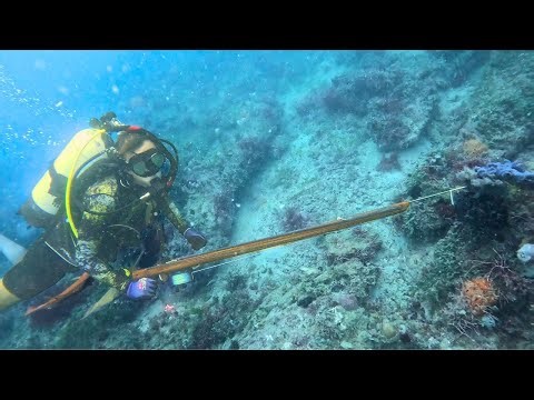 Spearfishing | Scuba Diving | Crystal river Florida