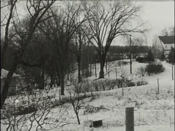 Michigan Game Bird Migration: Pheasants, Mallards & Wood Ducks