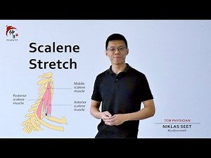 Scalene Stretch Demo by Physician Niklas Seet
