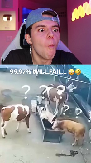 It’s IMPOSSIBLE to make it to the end… @JT (full video on YT : More JT) #challenge #viral #comedy #trynottolaugh #trynottolaughtiktoktv #trynottolaughchallenge #funny #trynottolaughimpossible #youlaughyoulose #youlaughyougotohell