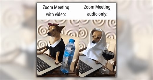 Misery Loves Company: 21 Wholesome Working Dog Memes for Your Monday Morning