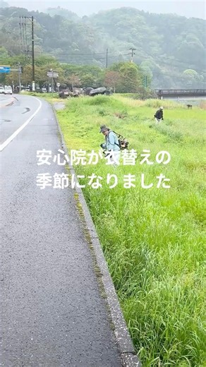 安心院が衣替えの季節になりました #あべファーム