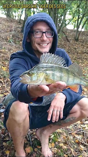 UFERGOLD on Instagram: "BARSCHE TIGER DES SEES Gummi Made Wobbler Spinner Tauwurm geht eigentlich immer Blinker Pose oder Dropshot an der Kante immer Hotspot! 🎵🎣 Neuer Angelsong / neues Angellied über #barschangeln #angeln nach dem #karpfen Angler Lied ist nun der Stachelritter dran .. Der beste und schönste oder seid ihr eher Team #hecht ? Oder doch die ganz großen #wels e ? Song kommt Mitte September auf Spotify und co raus . Ufergold Barschlied Barschrap Deutschrap übers Angeln"