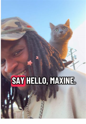 It’s a totally normal thing.. right?.. RIGHT?!? 😂 Maxine seems to think it is a totally normal thing 💕💜