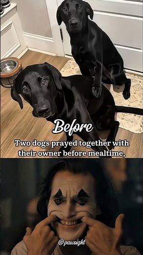 Two Dogs Praying Together vs Alone – A Heartfelt Moment