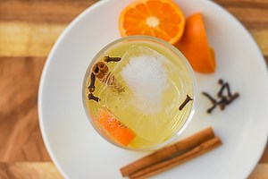 The Best Fall Gin & Tonic with Apple Cider - Dash of Jazz