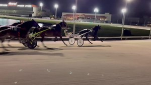 20K views · 498 reactions | It’s the stretch of the last race at Isle Casino Racing Pompano Park. United States Trotting Association #harnessracing | HarnessRacing.com | Facebook